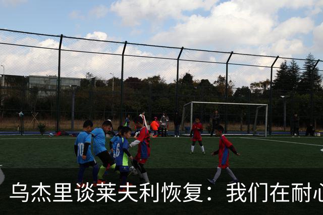 乌杰里谈莱夫利恢复：我们在耐心地等待奇迹